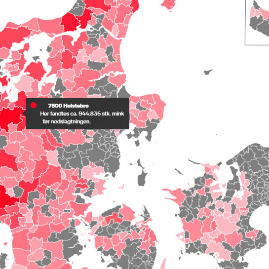 Sådan var minkene spredt rundt i landet